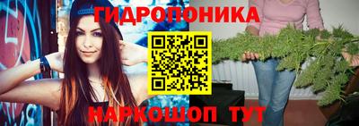 шишки Нарткала