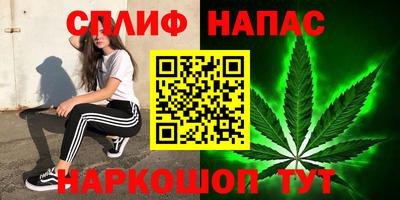 мяу мяу мука Нальчик