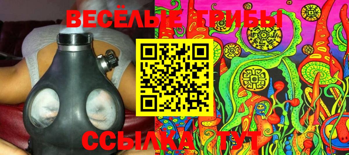 Сургут  Псилоцибиновые грибы GOLDEN TEACHER  где найти   Галлюциногенные грибы мухоморы  Вход с VPN 